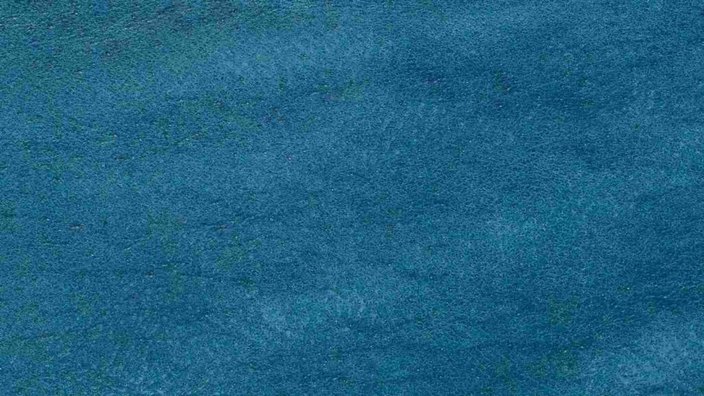 Velvet carpet Dubai 6