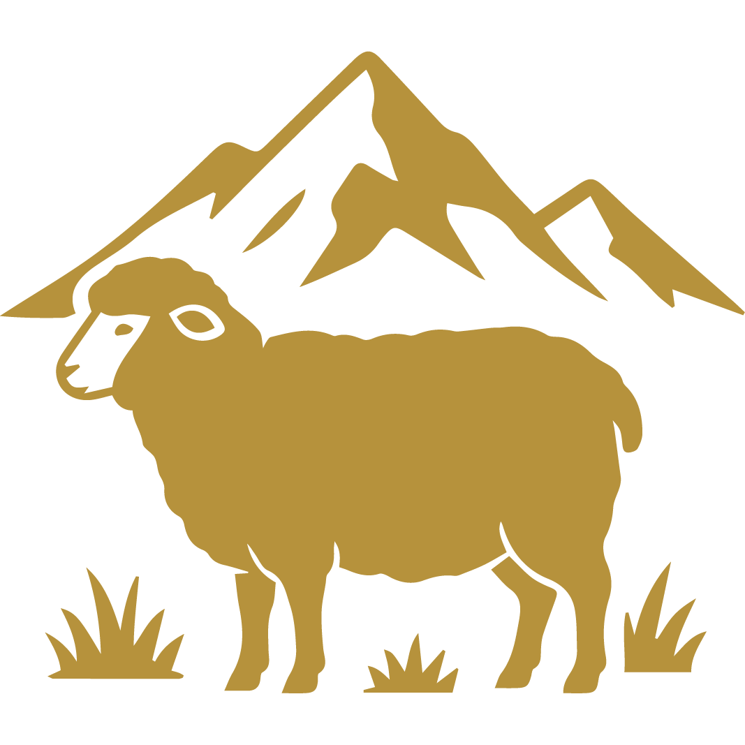 New Zealand Wool-01