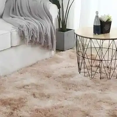 Modern Polyester Carpet